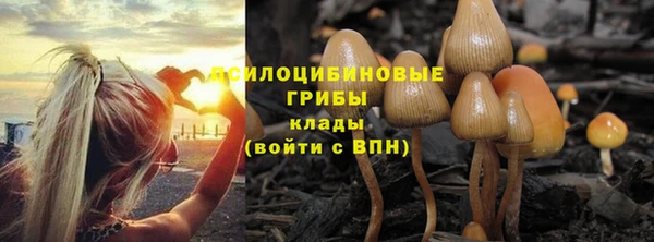 а пвп мука Каменногорск