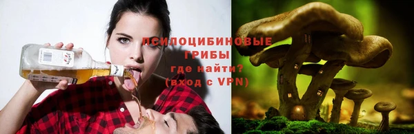 тгк Каменск-Шахтинский