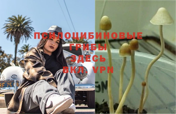 круглые Каменка