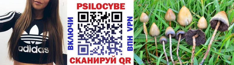Галлюциногенные грибы Cubensis Ртищево